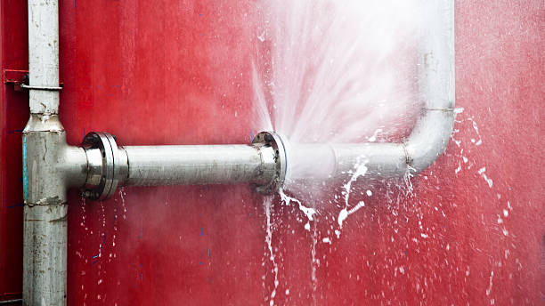 Best Carpet water damage restoration  in Deatsville, AL